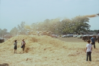 http://www.heathermobrien.com/files/gimgs/th-39_39_where-water-touches-land-44.jpg